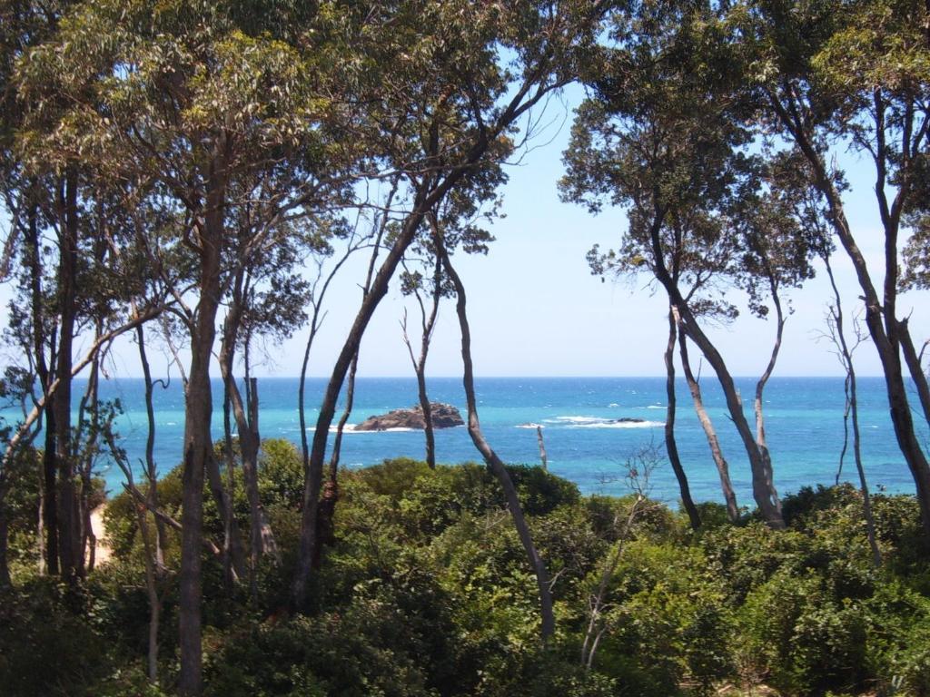 Smugglers On The Beach Otel Coffs Harbour Dış mekan fotoğraf